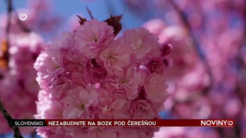 NEZABUDNITE NA BOZK POD ČEREŠŇOU