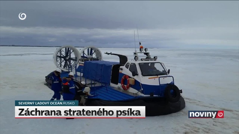 Záchrana strateného psíka