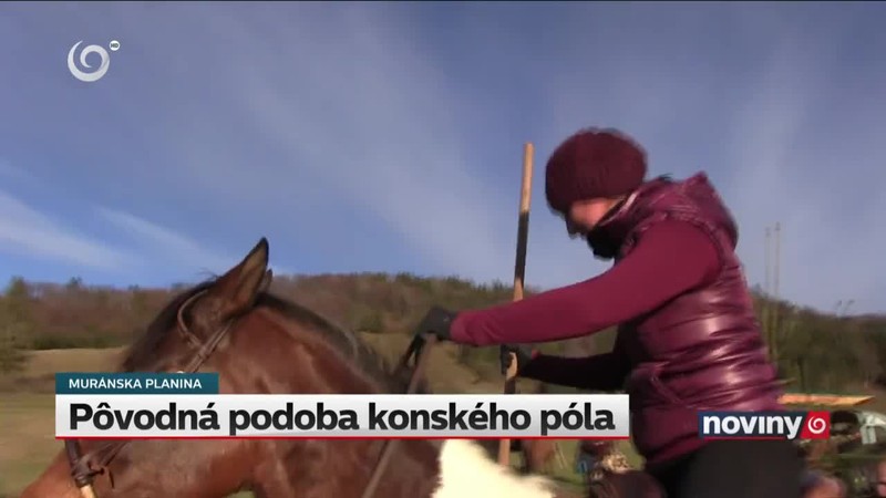 Pôvodná podoba konského póla
