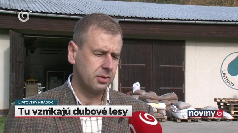 Tu vznikajú dubové lesy