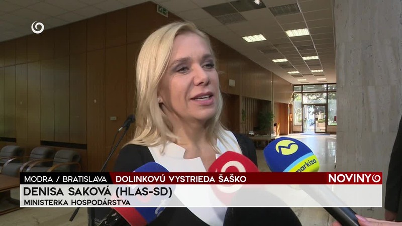 DOLINKOVÚ VYSTRIEDA ŠAŠKO