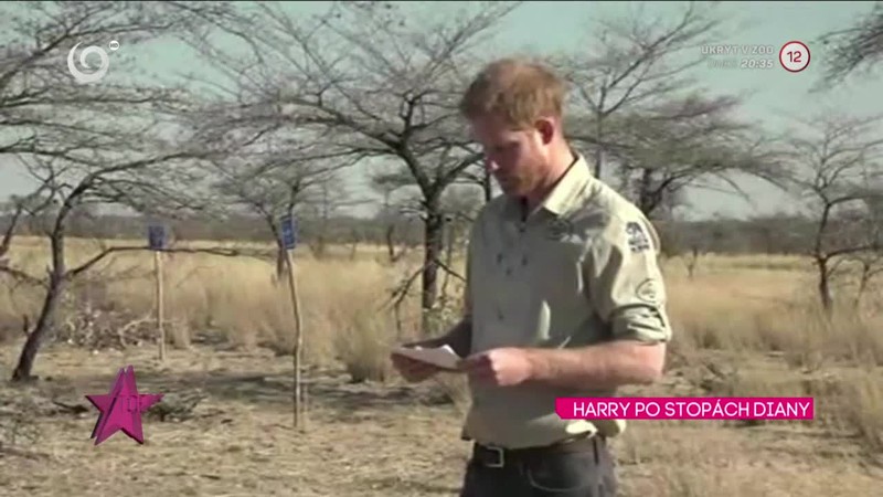HARRY PO STOPÁCH DIANY