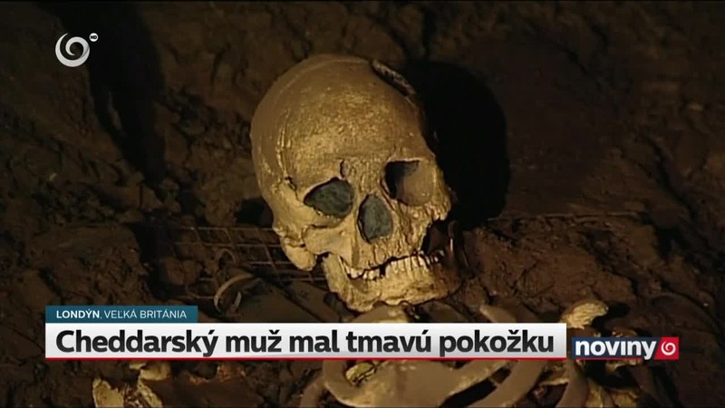 Cheddarský muž mal tmavú pokožku