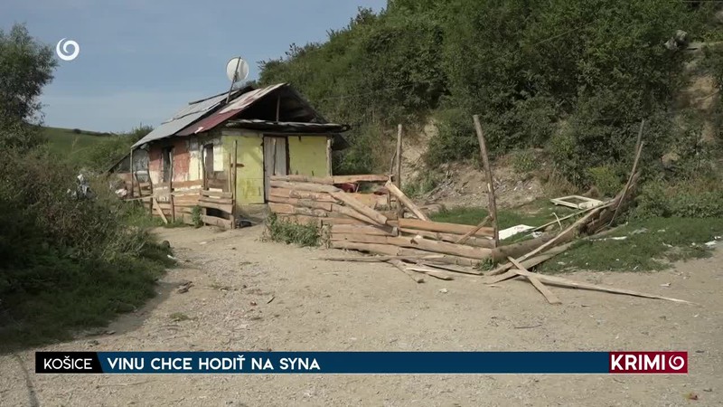 VINU CHCE HODIŤ NA SYNA