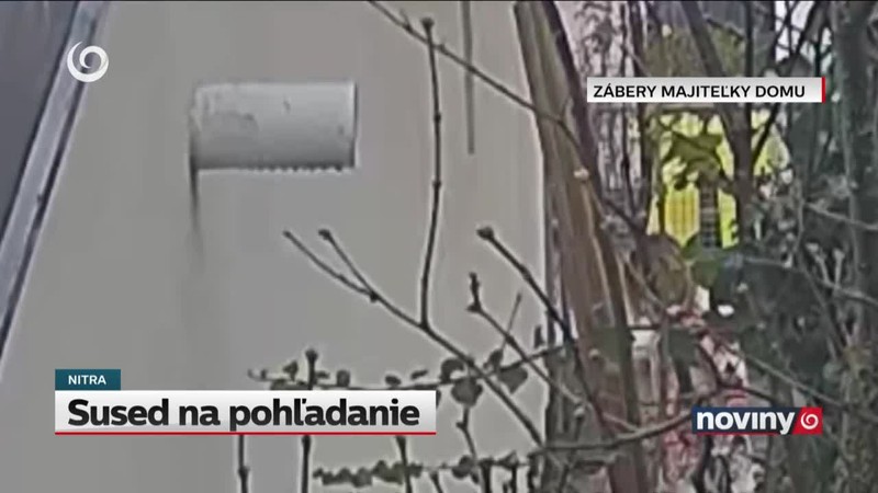 Sused na pohľadanie