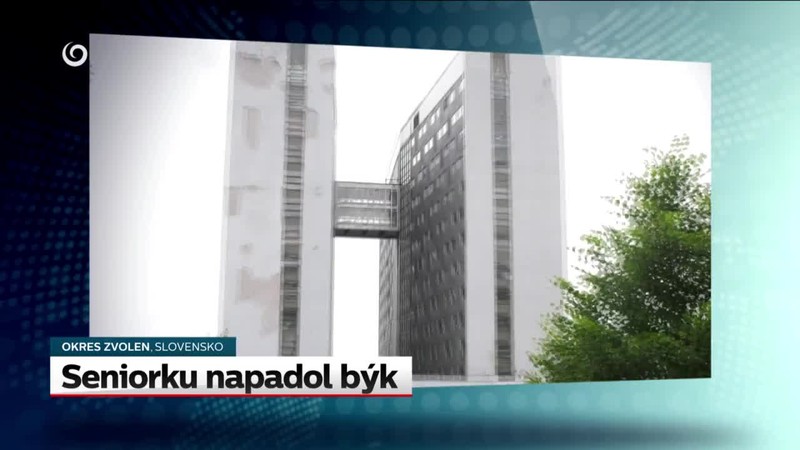 úvod