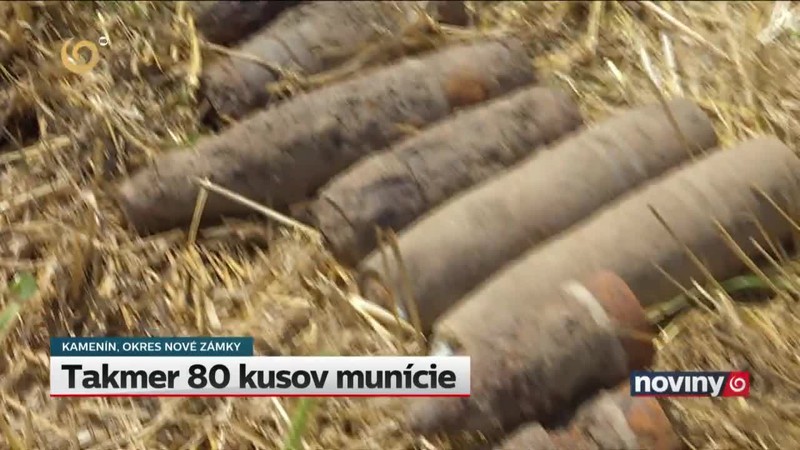 Takmer 80 kusov munície