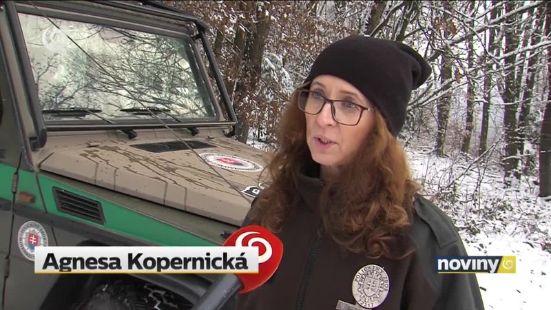 Bizarný súd s prevádzačom