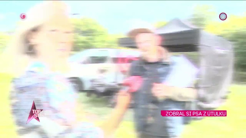 ZOBRAL SI PSA Z ÚTULKU