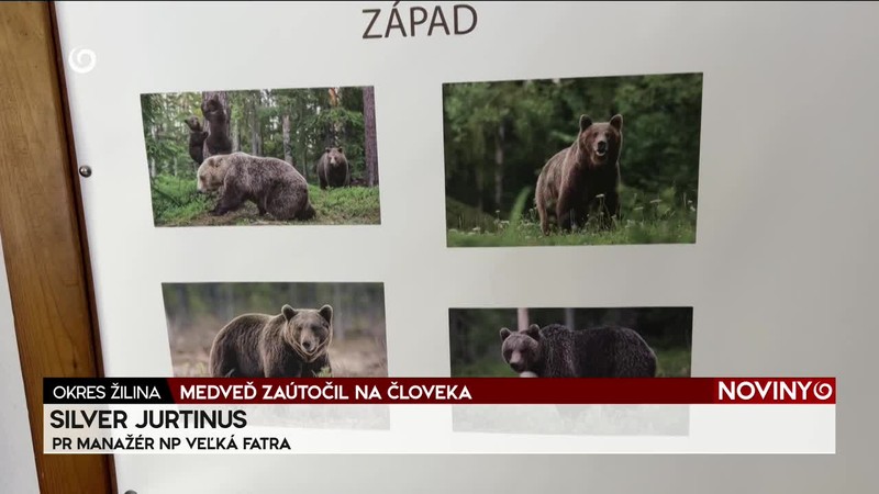 MEDVEĎ ZAÚTOČIL NA ČLOVEKA