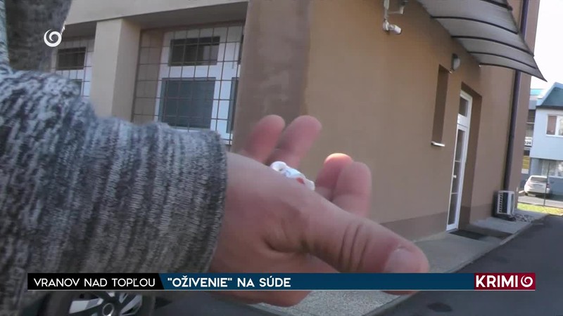 "OŽIVENIE" NA SÚDE