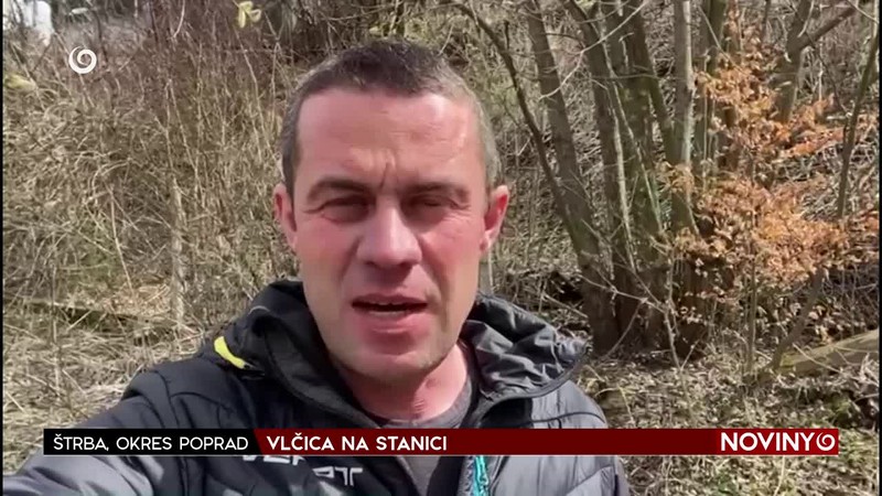 VLČICA NA STANICI