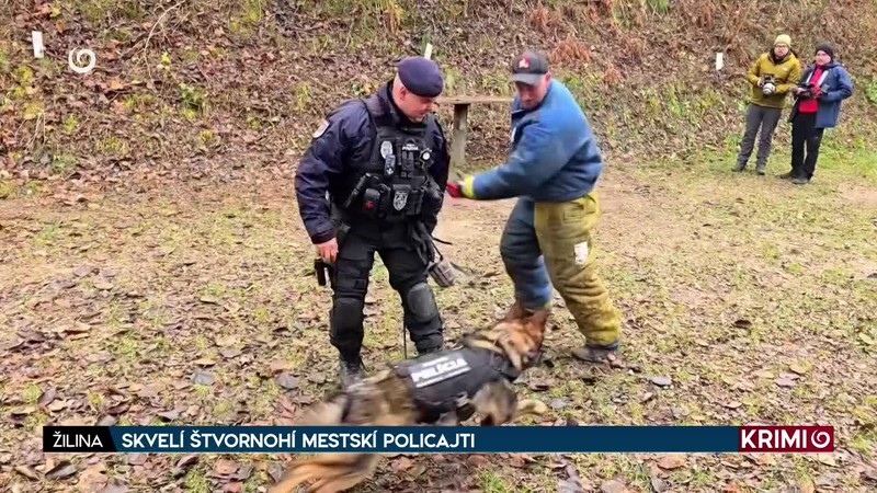 SKVELÍ ŠTVORNOHÍ MESTSKÍ POLICAJTI