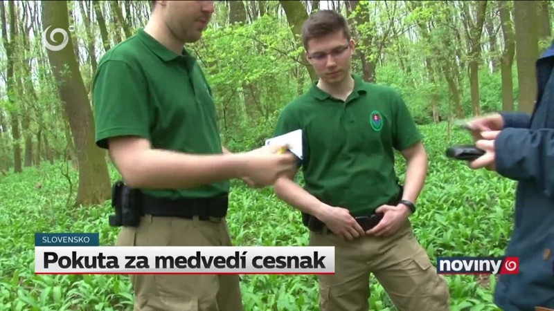 Pokuta za medvedí cesnak