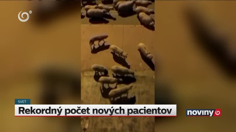 Rekordný počet nových pacientov