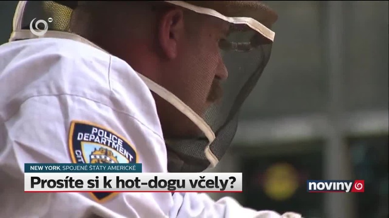 Prosíte si k hot-dogu včely?