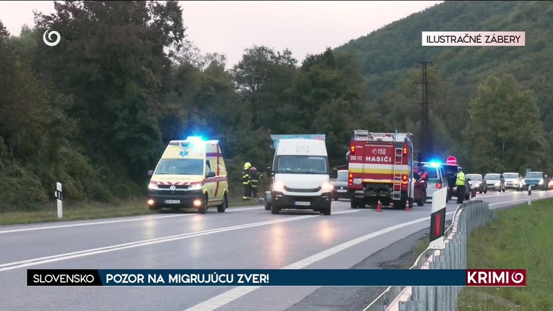 POZOR NA MIGRUJÚCU ZVER!