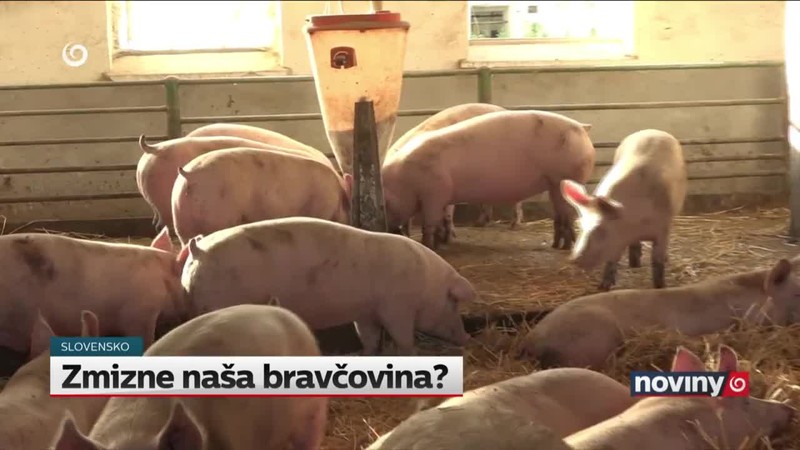 Zmizne naša bravčovina?