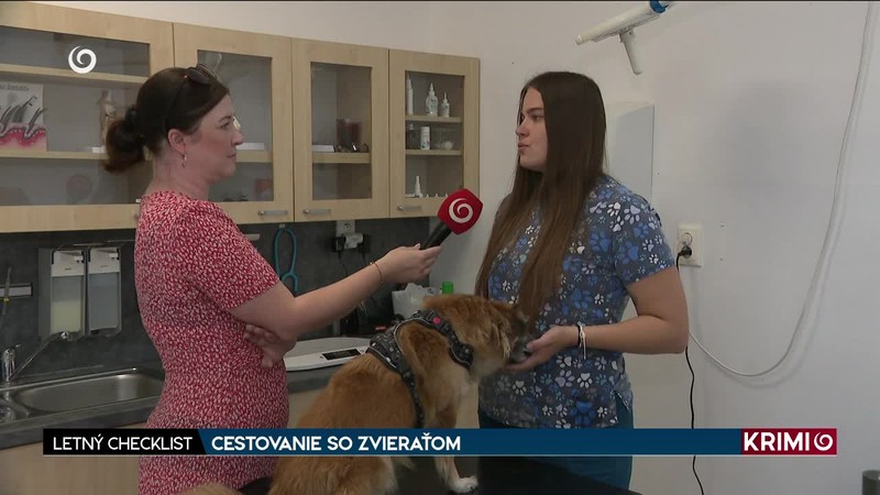 CESTOVANIE SO ZVIERAŤOM