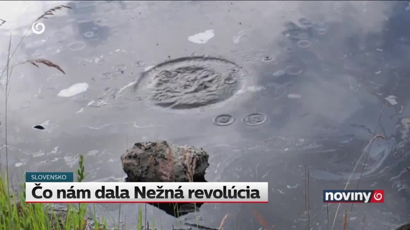 Čo nám dala Nežná revolúcia