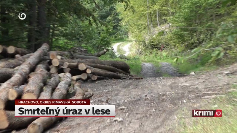 Smrteľný úraz v lese
