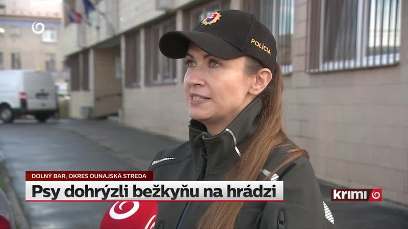 Psy dohrýzli bežkyňu na hrádzi