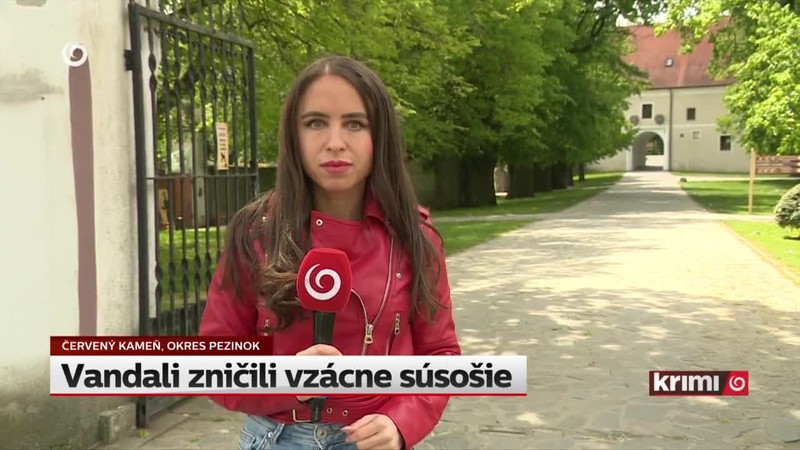 Vandali zničili vzácne súsošie