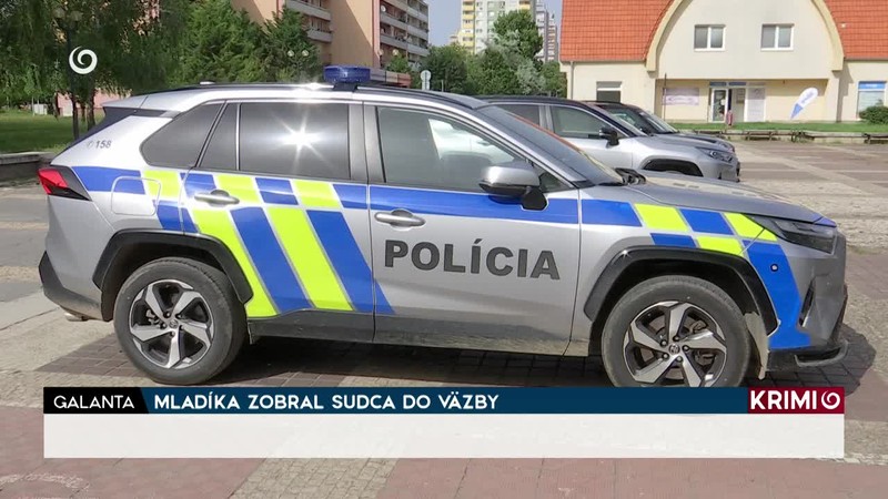 MLADÍKA ZOBRAL SUDCA DO VÄZBY