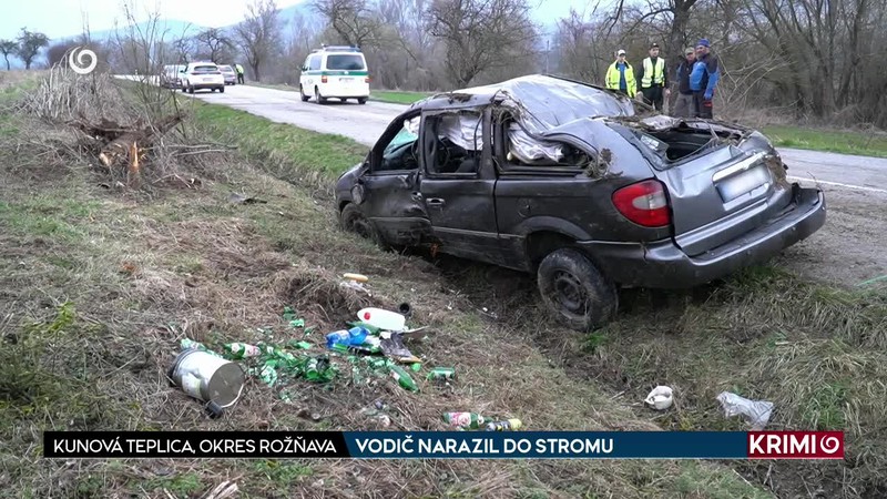 VODIČ NARAZIL DO STROMU