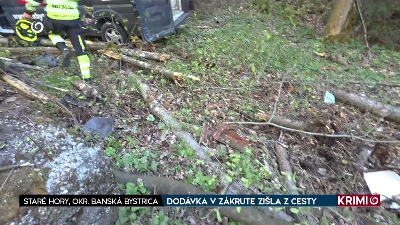 DODÁVKA V ZÁKRUTE ZIŠLA Z CESTY /