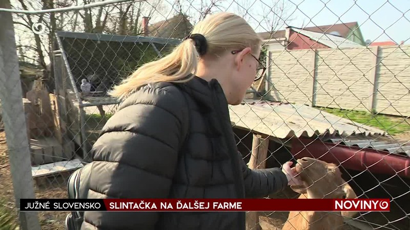 SLINTAČKA NA ĎALŠEJ FARME