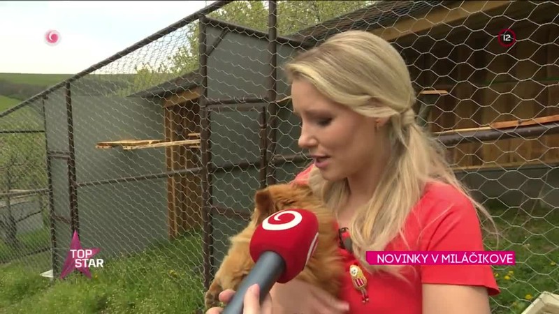 NOVINKY V MILÁČIKOVE