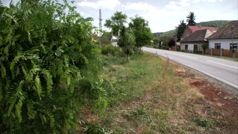 Matka Tomáša, ktorý zomrel pri policajnej naháňačke: Prečo nestrieľali do gúm? Naháňali ich ako takých vrahov