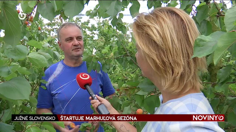 ŠTARTUJE MARHUĽOVÁ SEZÓNA