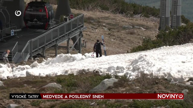 MEDVEDE A POSLEDNÝ SNEH