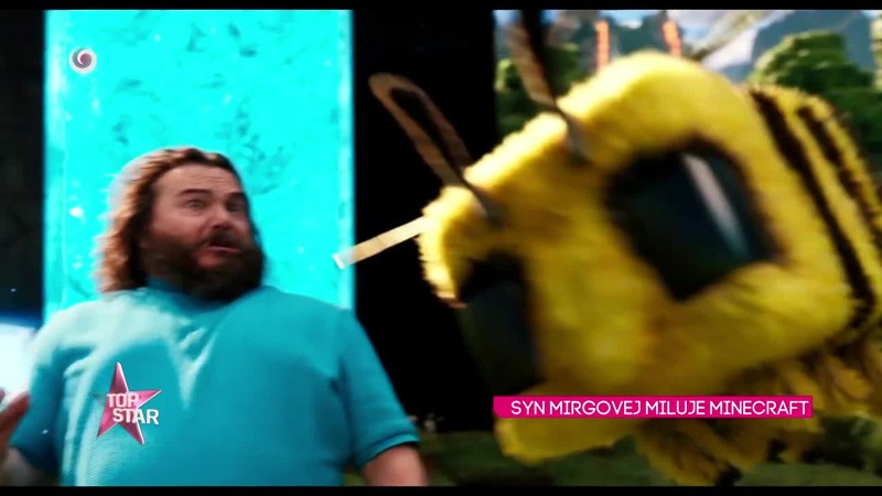 SYN MIRGOVEJ MILUJE MINECRAFT