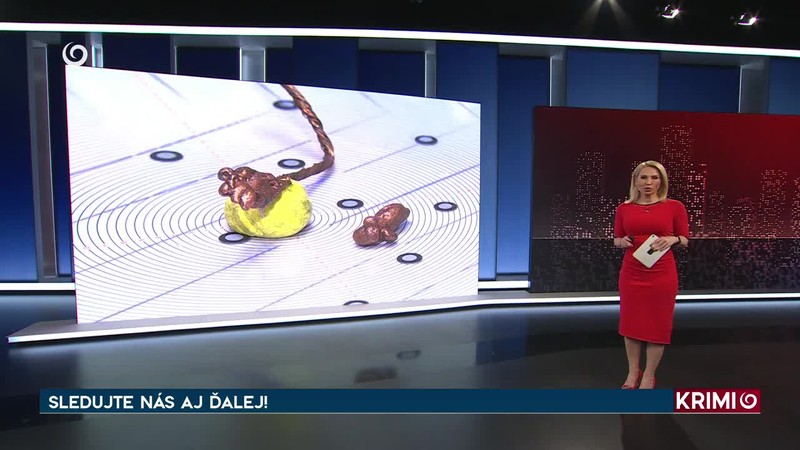 ZVYŠKY ZVIERAT ROZTRÚSENÉ PRI CESTE