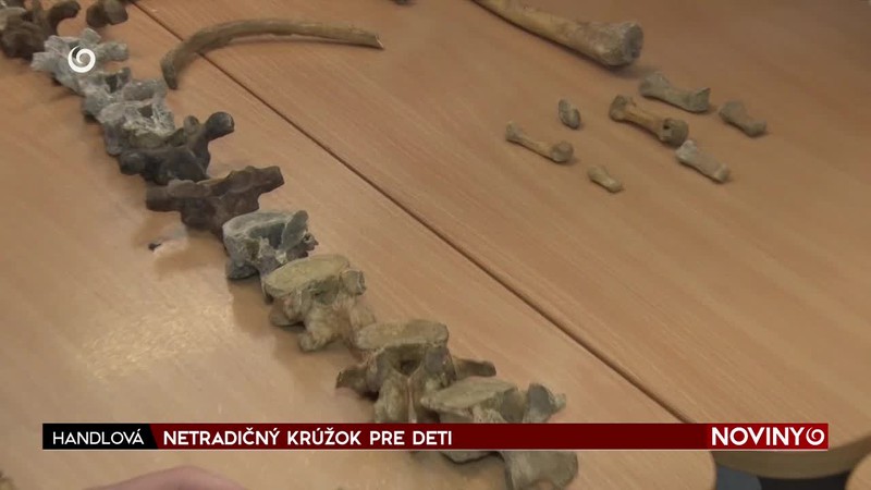 NETRADIČNÝ KRÚŽOK PRE DETI