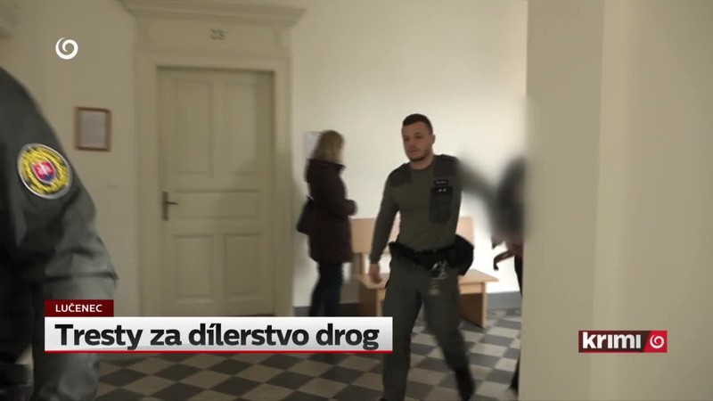 Tresty za dílerstvo drog