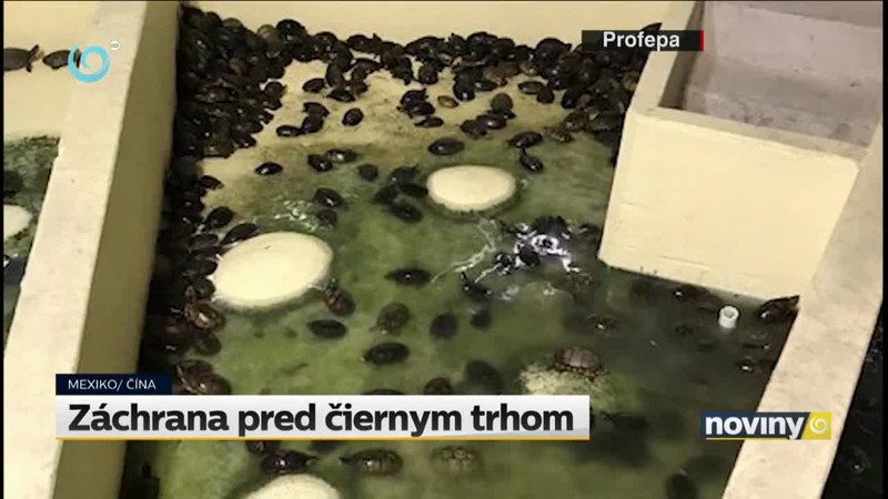 Záchrana pred čiernym trhom