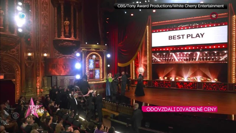 ODOVZDALI DIVADELNÉ CENY