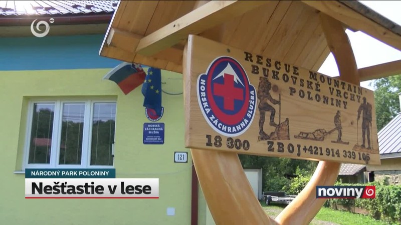Nešťastie v lese