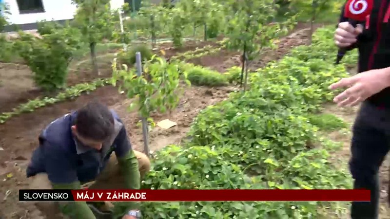 Máj v záhrade