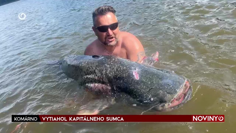 VYTIAHOL KAPITÁLNEHO SUMCA