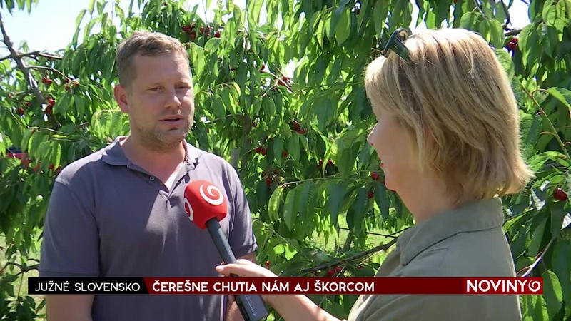 ČEREŠNE CHUTIA NÁM AJ ŠKORCOM