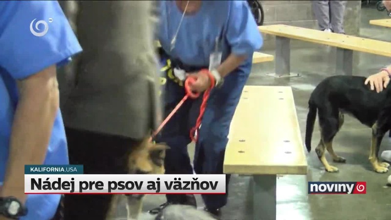 Nádej pre psov aj väzňov