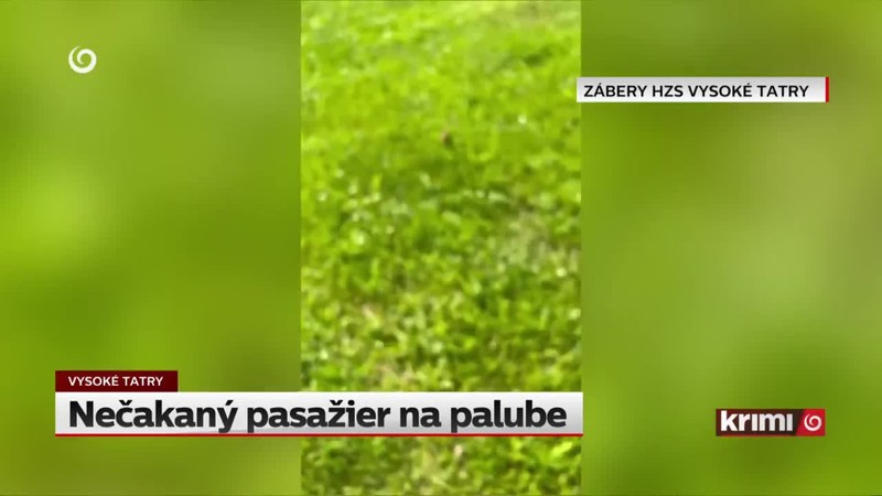 Nečakaný pasažier na palube