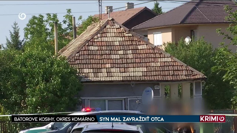 SYN MAL ZAVRAŽDIŤ OTCA