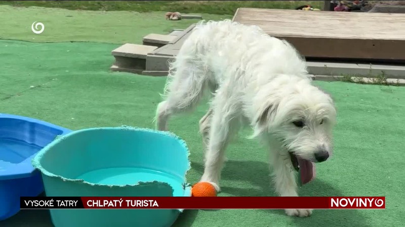 CHLPATÝ TURISTA