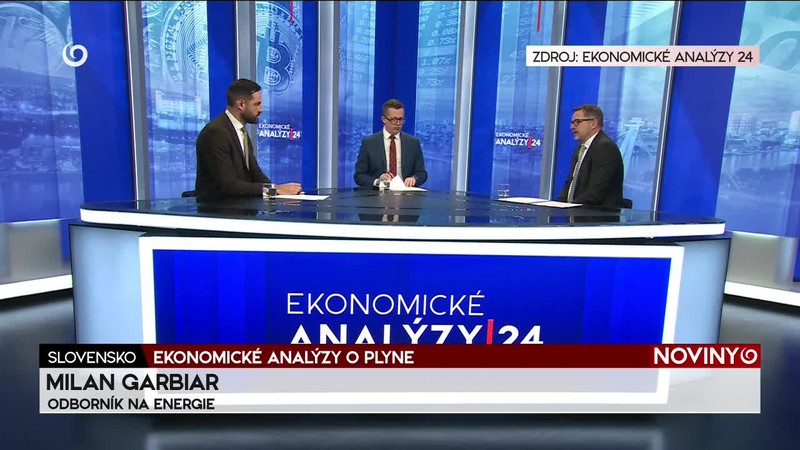 EKONOMICKÉ ANALÝZY O PLYNE